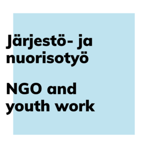 NGO and Youth Work